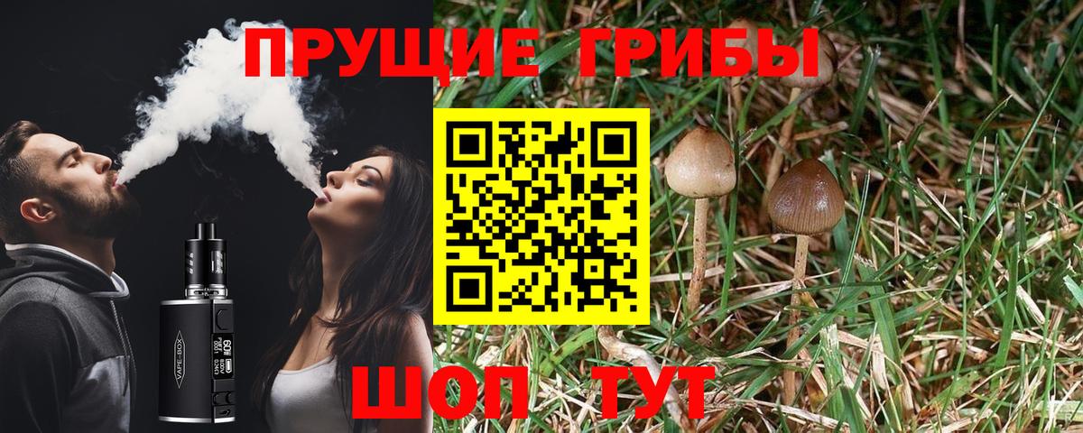 Галлюциногенные грибы мицелий Ухта